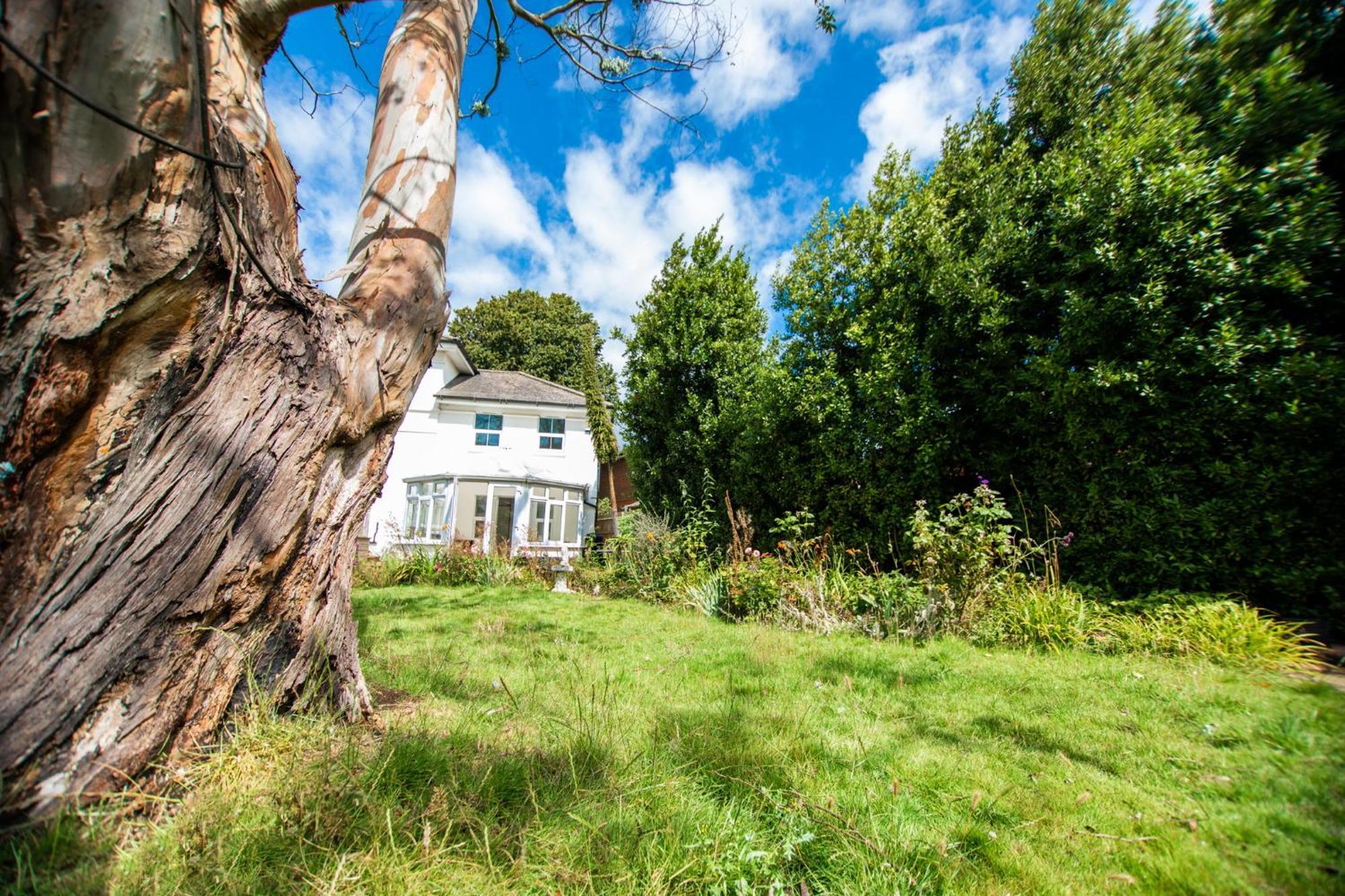Apartment Trees Annex - Bexhill-on-Sea