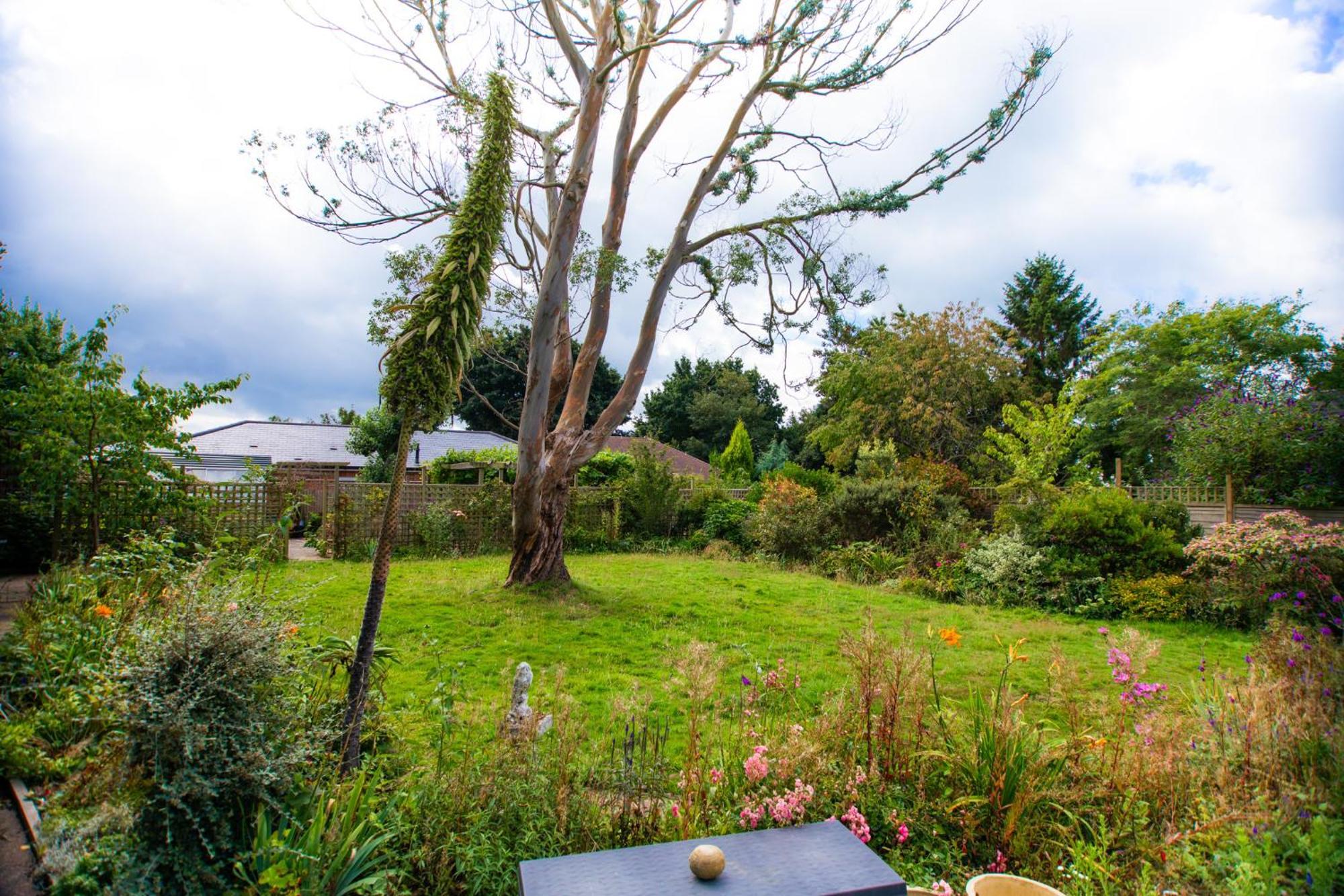 Apartamento Trees Annex - *